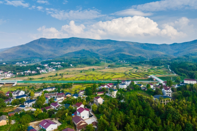 拉斯维加斯9888(中国)国际有限公司